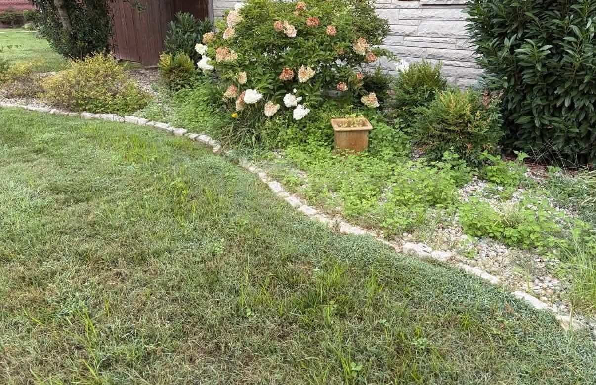 Before: weedy, overgrown bed by the walk